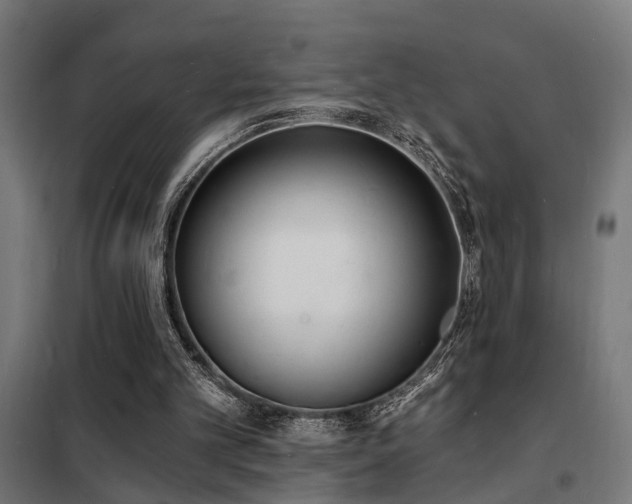 X0000102220101200807251220