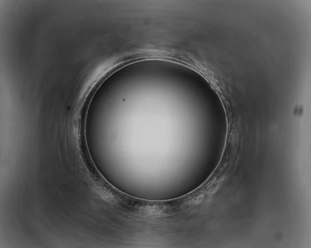 X0000102220103200807251220