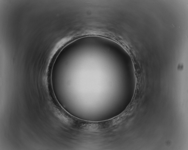 X0000102220104200807251220