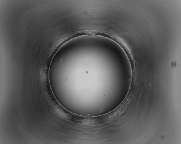 X0000102220105200807251220