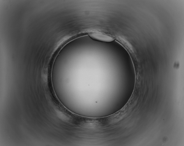 X0000102220108200807251220