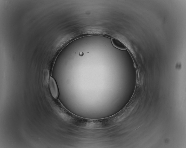 X0000102220109200807251220