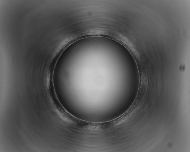 X0000102220110200807251220