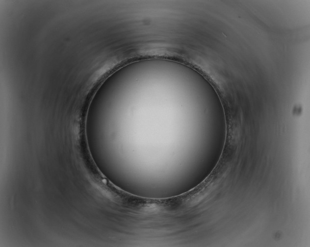 X0000102220111200807251220