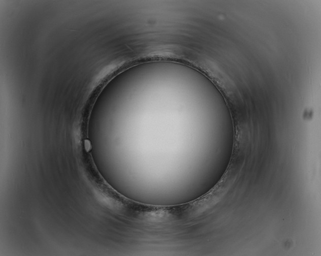 X0000102220112200807251220