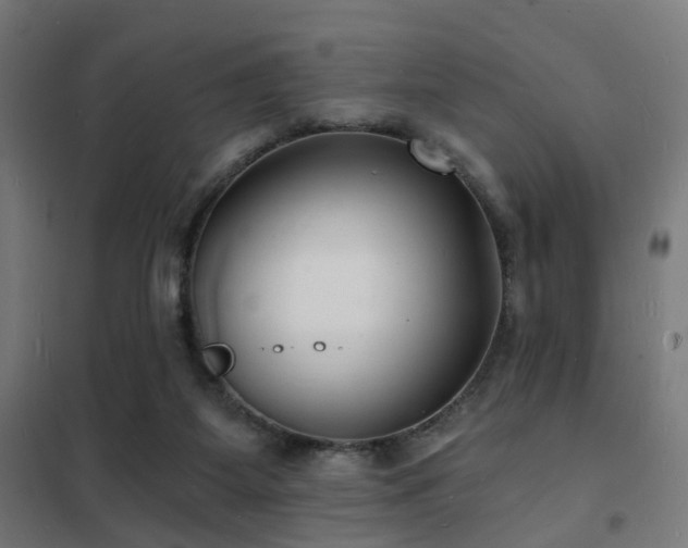 X0000102220115200807251220