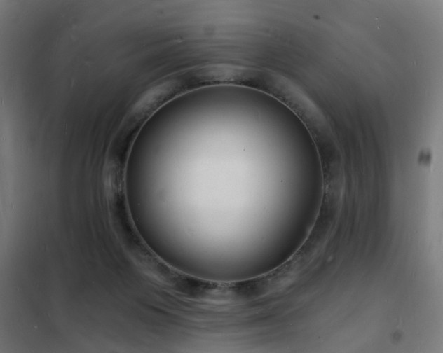 X0000102220119200807251220