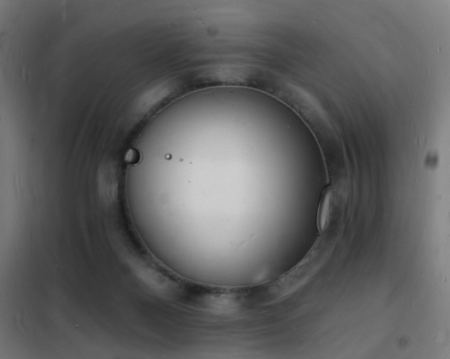 X0000102220120200807251220