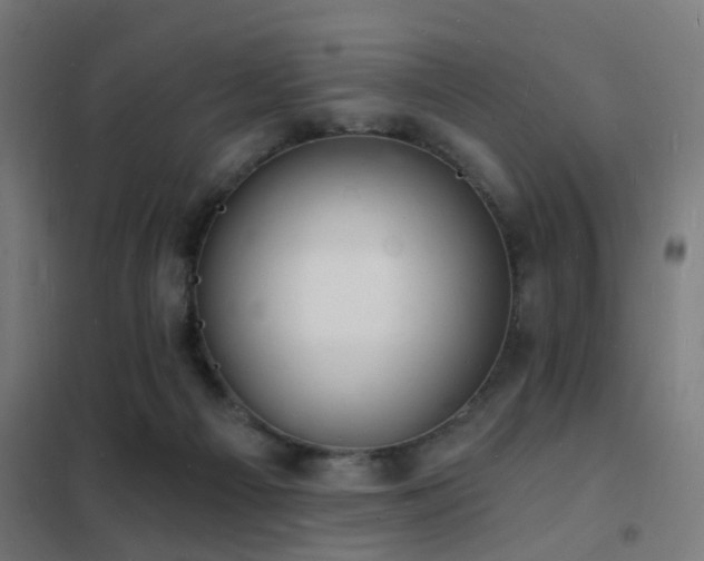 X0000102220121200807251220