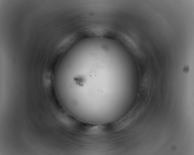 X0000102220122200807251220