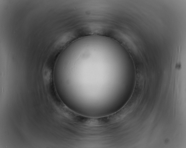 X0000102220123200807251220