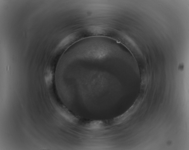 X0000102220124200807251220