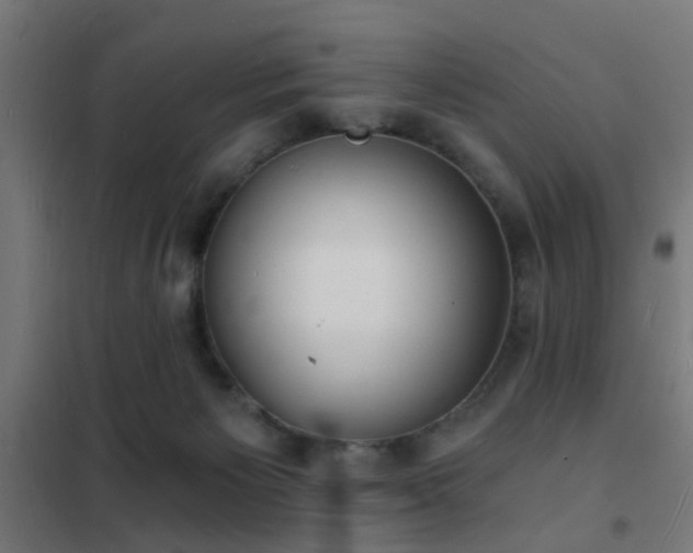 X0000102220125200807251220