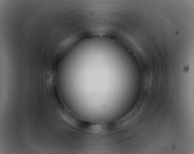 X0000102220126200807251220