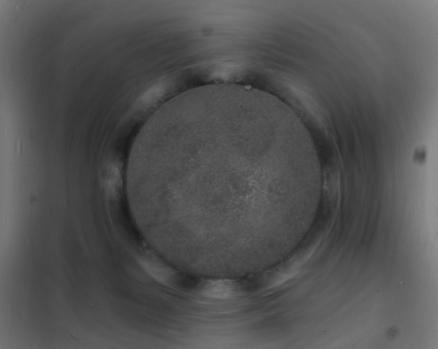 X0000102220127200807251220