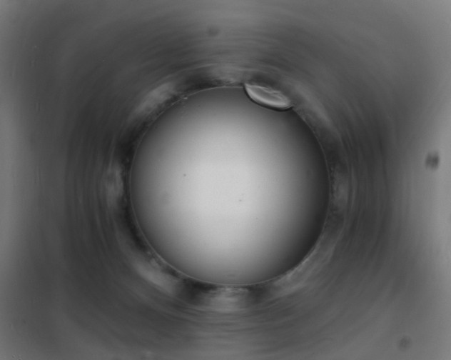 X0000102220128200807251220