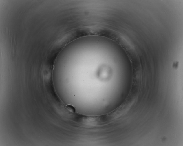 X0000102220129200807251220