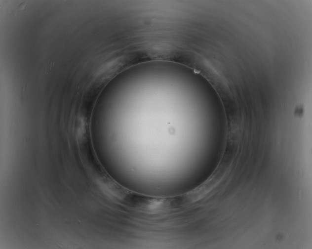 X0000102220130200807251220