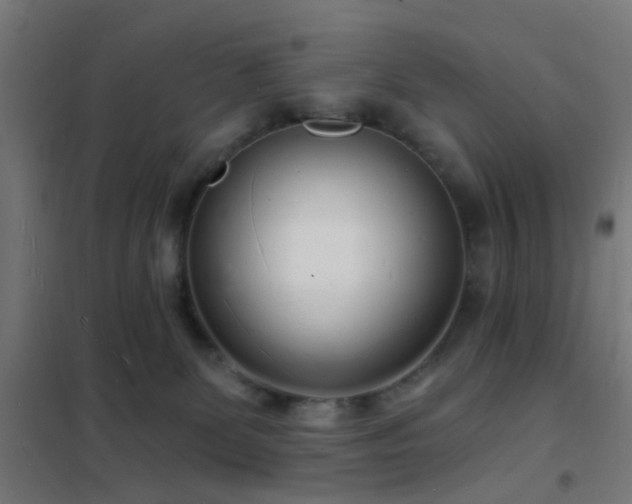 X0000102220131200807251220