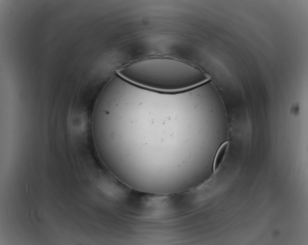 X0000102220132200807251220