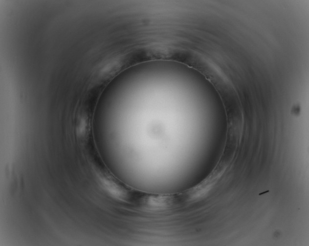 X0000102220134200807251220