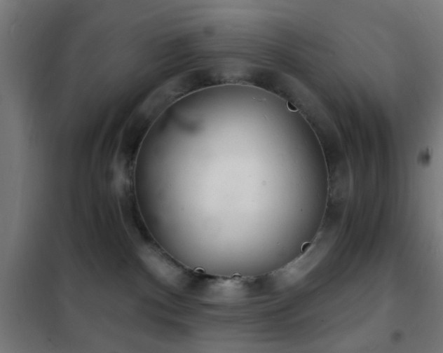 X0000102220140200807251220