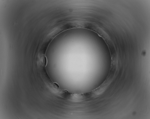 X0000102220141200807251220