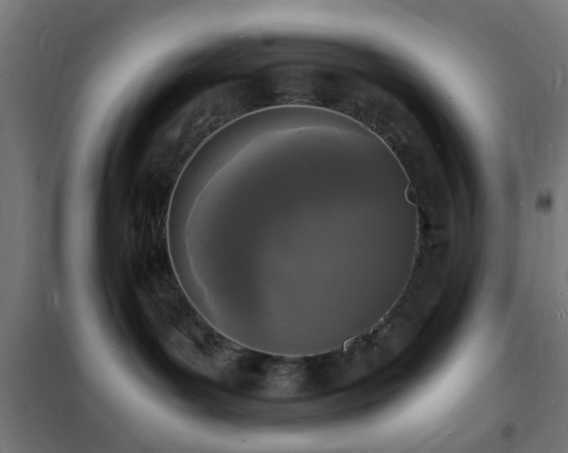 X0000102220143200807251220