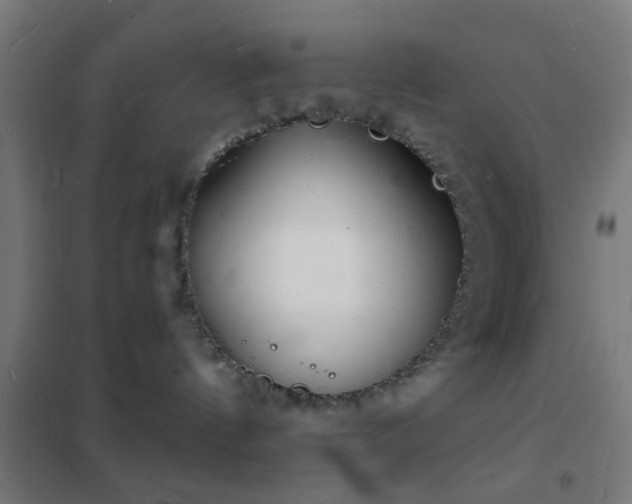 X0000102220144200807251220