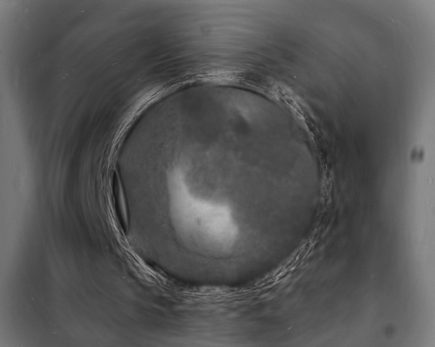 X0000102220145200807251219