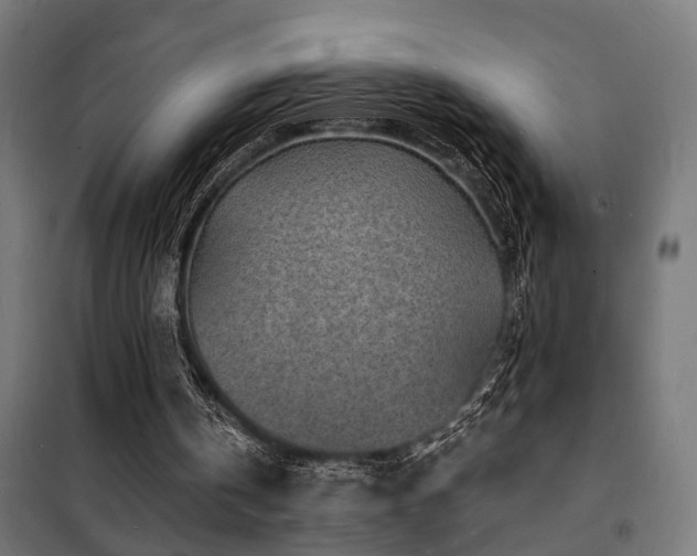 X0000102220146200807251219