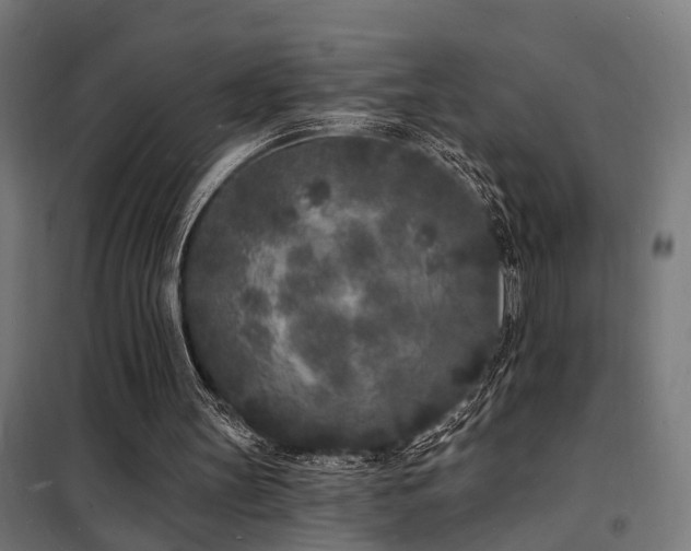 X0000102220147200807251219