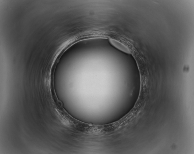 X0000102220148200807251219