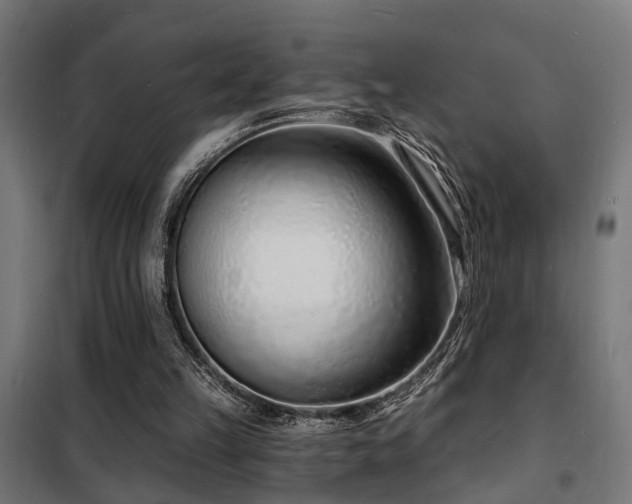 X0000102220149200807251219