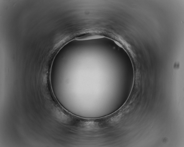 X0000102220153200807251219