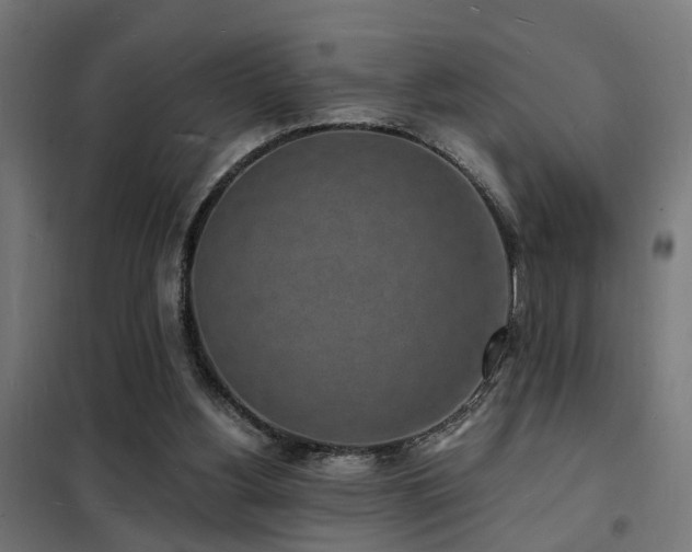 X0000102220156200807251219