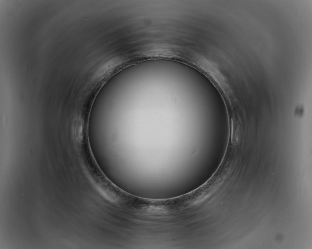 X0000102220157200807251219