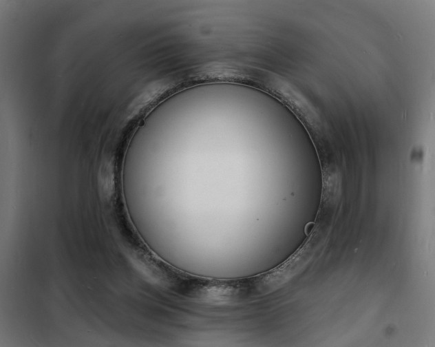 X0000102220158200807251219