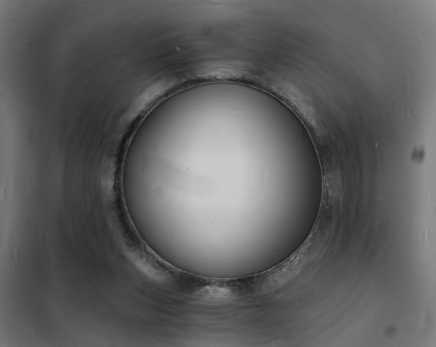 X0000102220159200807251219