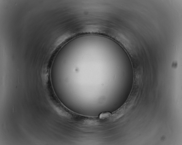 X0000102220160200807251219