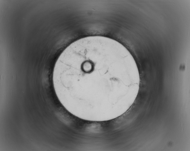 X0000102220162200807251219