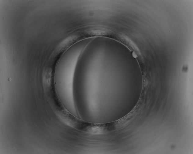 X0000102220163200807251219