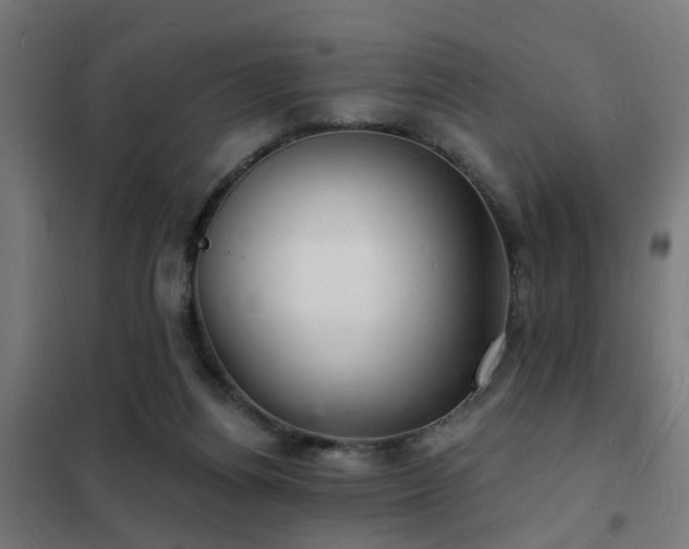 X0000102220164200807251219