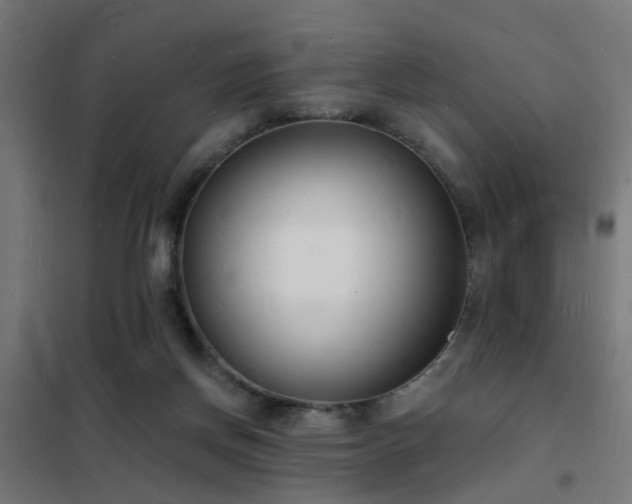 X0000102220166200807251219