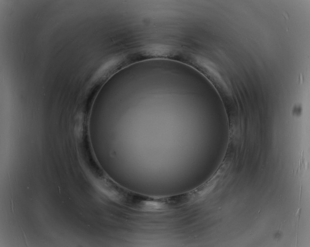 X0000102220167200807251219