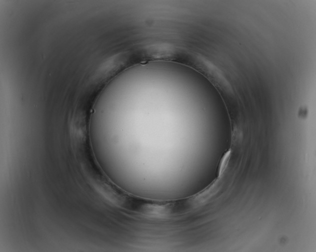 X0000102220170200807251219