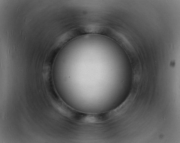 X0000102220171200807251219