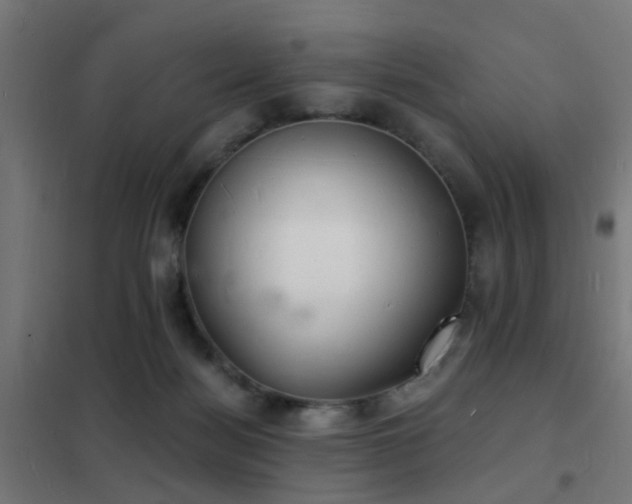 X0000102220172200807251219