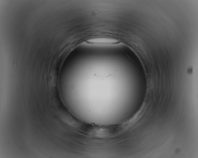 X0000102220174200807251219