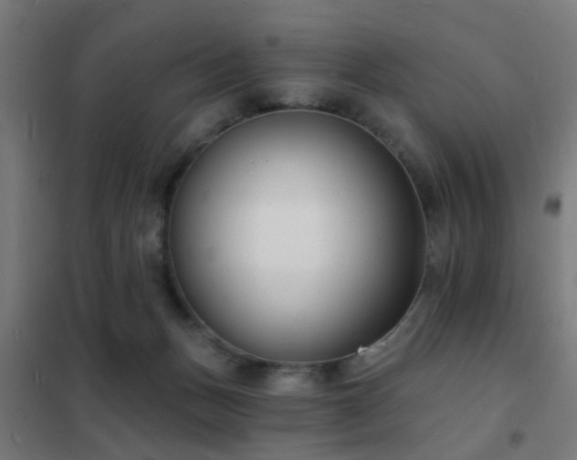 X0000102220175200807251219